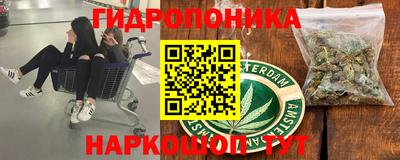 прущие грибы Нальчик