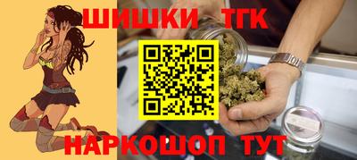 прущие грибы Нальчик