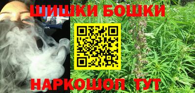 прущие грибы Нальчик