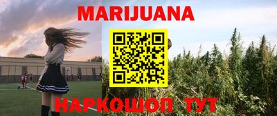 прущие грибы Нальчик