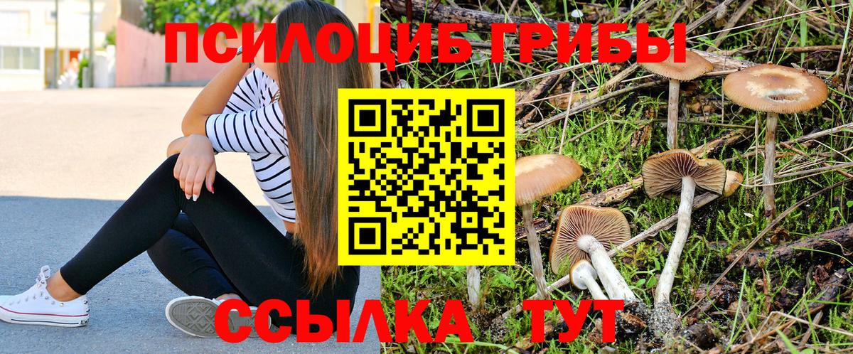 Псилоцибиновые грибы мицелий Чебоксары